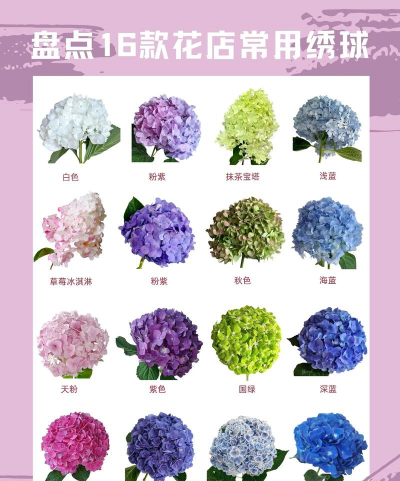 小众送妈妈的花有哪些花