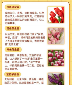 小众送妈妈的花有哪些花