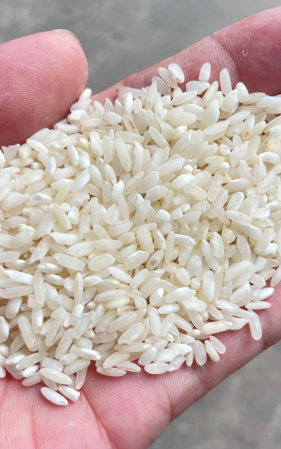 小众送妈妈的花有哪些花