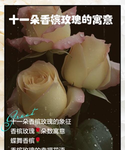 小众送妈妈的花有哪些花