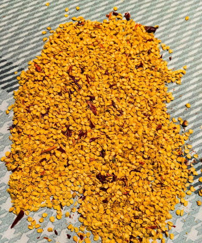 小众送妈妈的花有哪些花