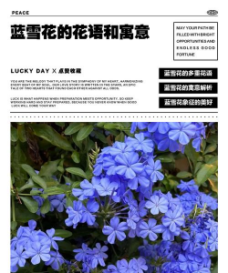 小众送妈妈的花有哪些花