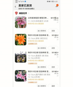 小众送妈妈的花有哪些花