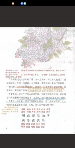 小众送妈妈的花有哪些花