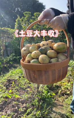 小众送妈妈的花有哪些花