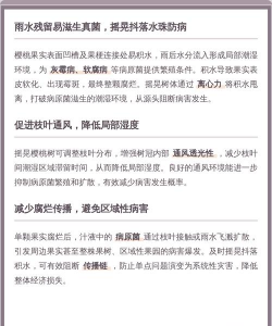 小众送妈妈的花有哪些花