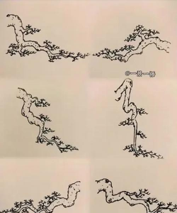 小众送妈妈的花有哪些花