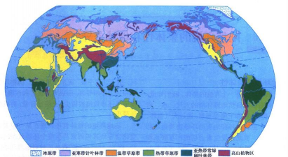 小众送妈妈的花有哪些花