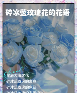 小众送妈妈的花有哪些花
