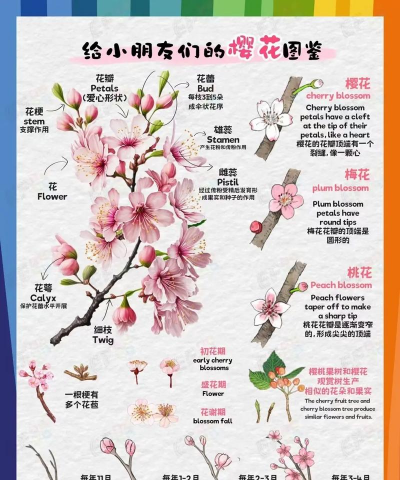 小众送妈妈的花有哪些花