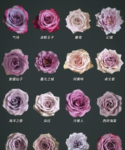 小众送妈妈的花有哪些花