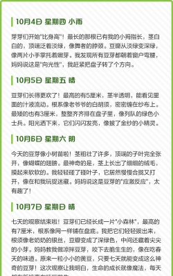 黄豆发芽需要几天