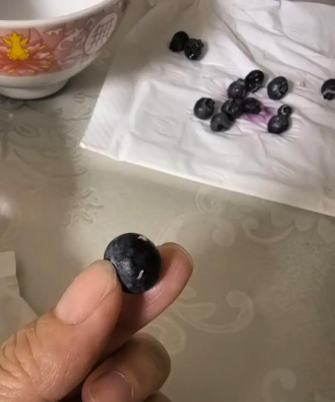 蓝莓有虫子吗?