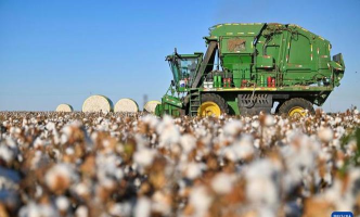 新疆种植棉花的优势条件是什么