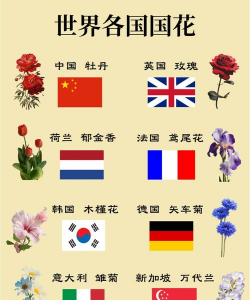 什么国家有什么国花