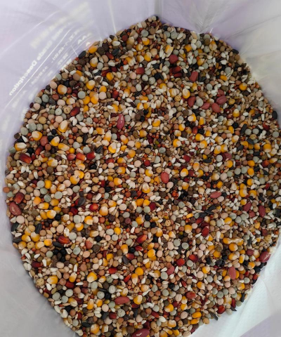 小众送妈妈的花有哪些花