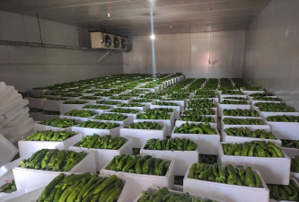 小众送妈妈的花有哪些花