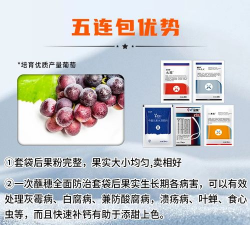 小众送妈妈的花有哪些花