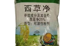 西草净杀青苔可以吗