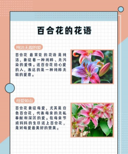 小众送妈妈的花有哪些花