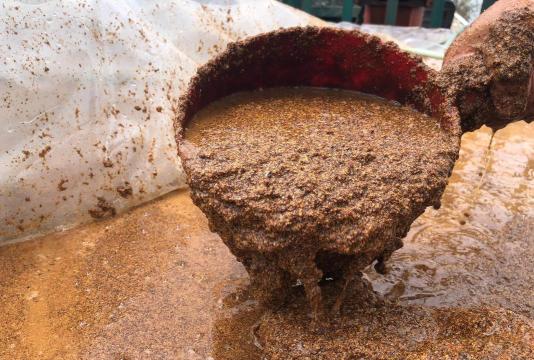 小众送妈妈的花有哪些花