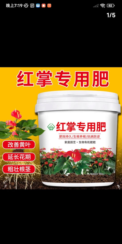 小众送妈妈的花有哪些花