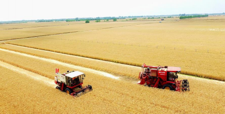 小众送妈妈的花有哪些花