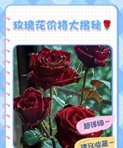 小众送妈妈的花有哪些花