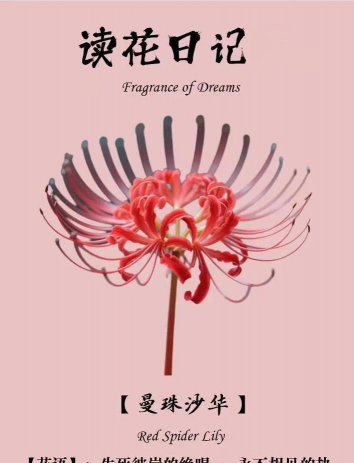 小众送妈妈的花有哪些花