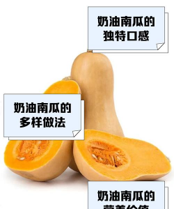 奶油南瓜的种植方法和时间
