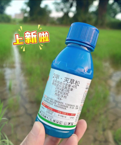 2甲灭草松能灭什么草