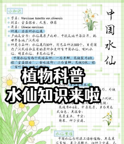 小众送妈妈的花有哪些花