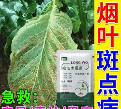 烟草气候斑点病特效药