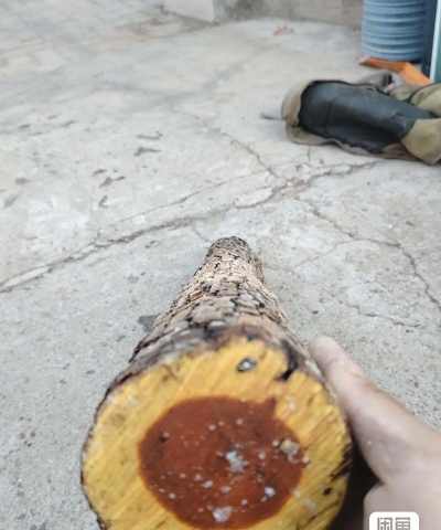 小众送妈妈的花有哪些花