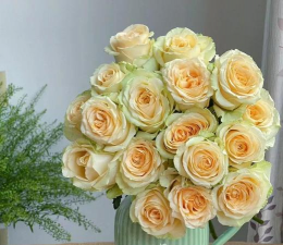 小众送妈妈的花有哪些花