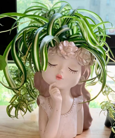 小众送妈妈的花有哪些花