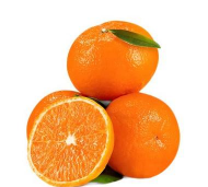 沃柑有没有无籽的