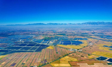 西北地区发展什么农业