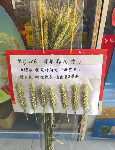 小众送妈妈的花有哪些花
