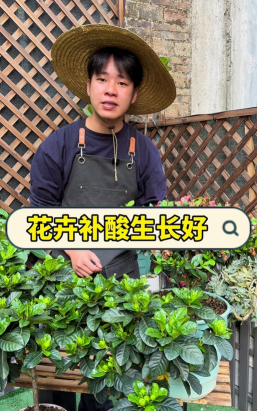 小众送妈妈的花有哪些花