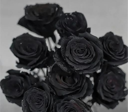 小众送妈妈的花有哪些花