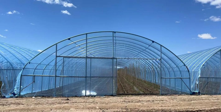 小众送妈妈的花有哪些花