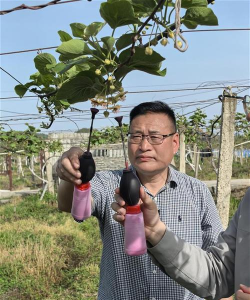 小众送妈妈的花有哪些花