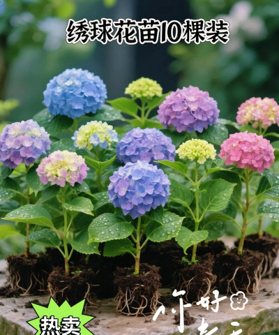 小众送妈妈的花有哪些花