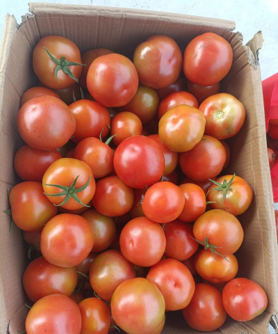 小众送妈妈的花有哪些花