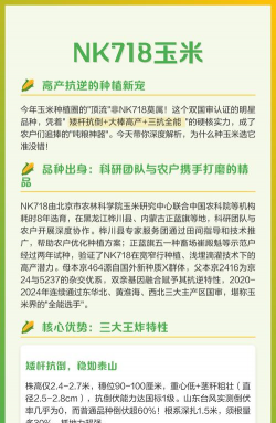 nk718玉米新品种介绍