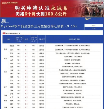 廉江生猪价多少钱