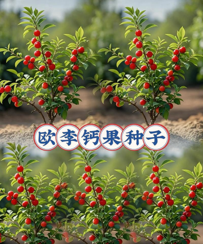 欧李适合什么地方种植
