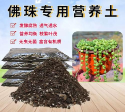 小众送妈妈的花有哪些花