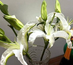 小众送妈妈的花有哪些花